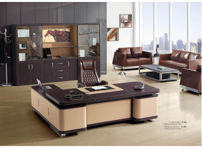 Büro Einrichtung Bücherschrank Aktenschrank Luxus Möbel Modern