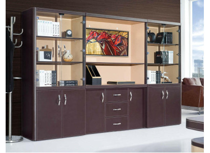 Büro Einrichtung Luxus Möbel - Aktenschrank Regal Kanzlei Praxis Schrank