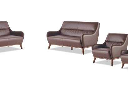 Sitzmöbel Komplett-Set 2-Sitzer Sessel Braun Leder Klassisch Leder Holz