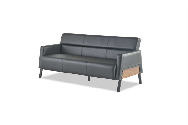 Ledersofas-Set Schwarz Leder Modern 3-Sitzer 2-Sitzer Sessel Sitzmöbel
